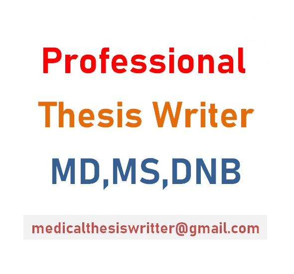 Professional Thesis Writer